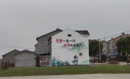 滁州新农村墙绘